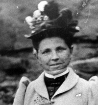 collection V. E. Tomlinson