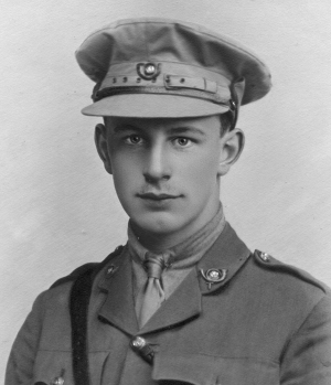collection V. E. Tomlinson