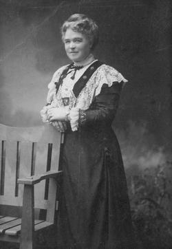 collection V. E. Tomlinson