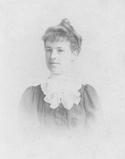 collection V. E. Tomlinson
